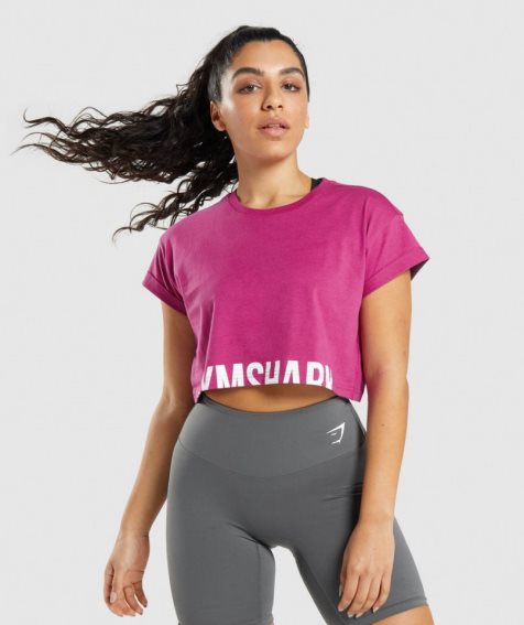 Women's Gymshark Fraction Cropped Tops Fuchsia | CA 13N58A